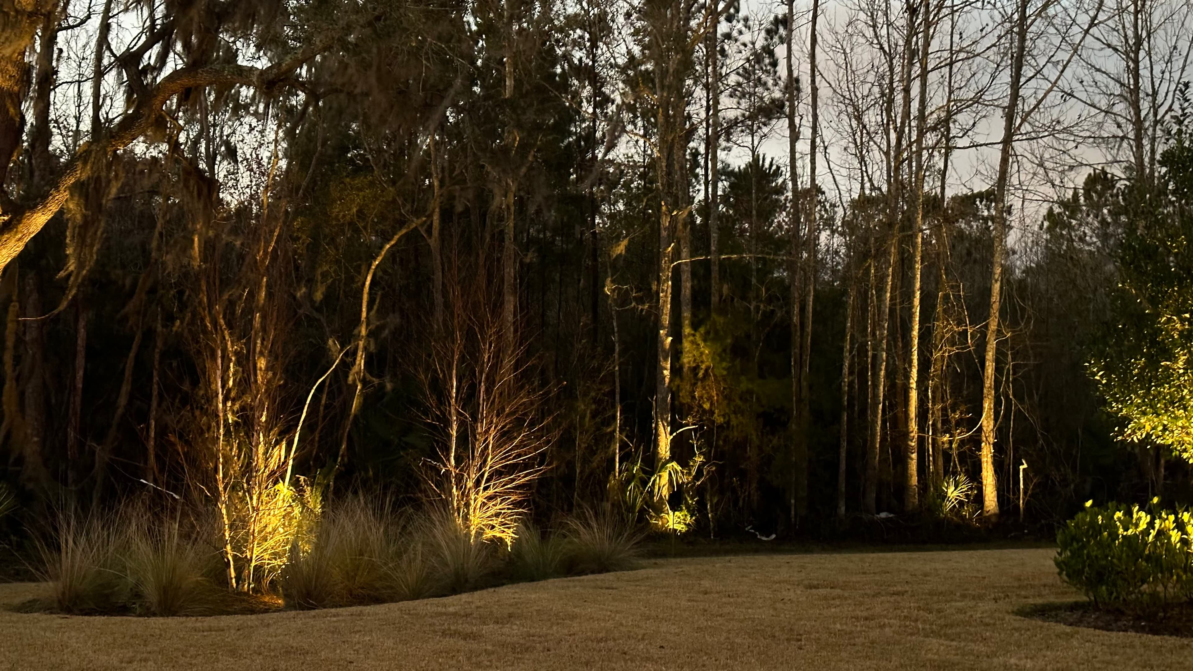 services-low-voltage-lighting